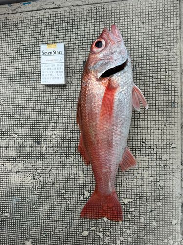 小名浜港市場前