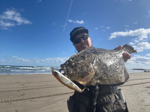 ヒラメの釣果