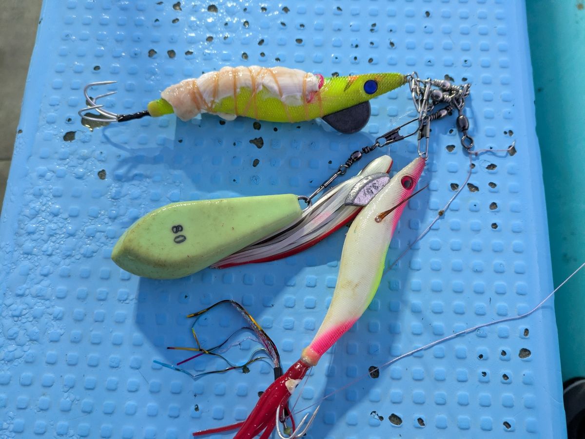 釣りバカじいさんさんの釣果 2枚目の画像