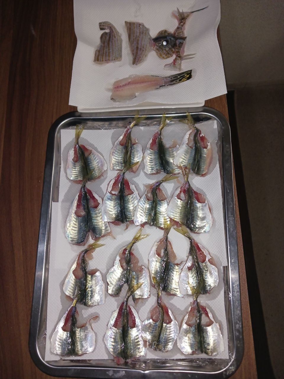 キジョンさんの釣果 2枚目の画像