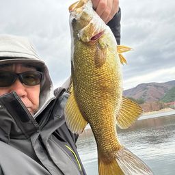 スモールマウスバス