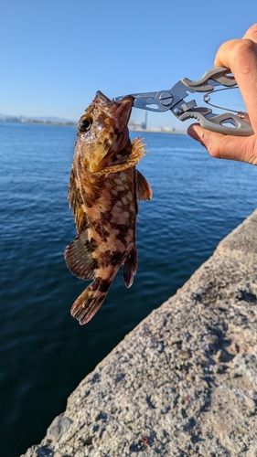 忠岡木材コンビナート