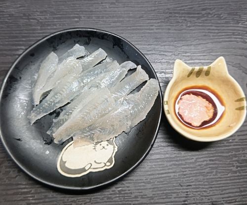 ハゼの釣果