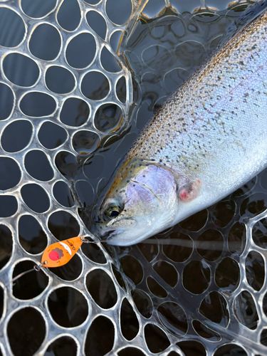 宮城アングラーズヴィレッジ