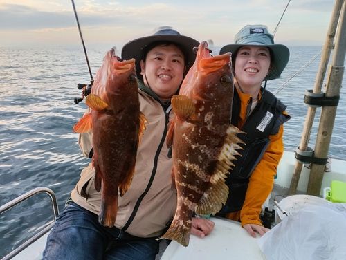 キジハタの釣果