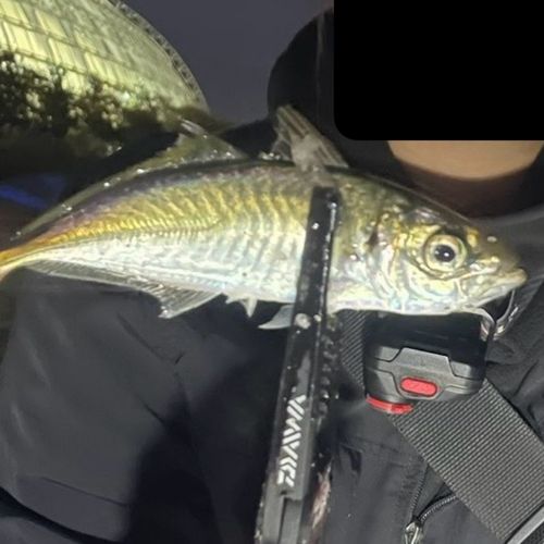 小名浜港アクアマリンふくしま周辺