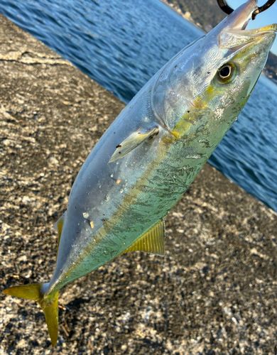 下田港（伊豆半島）