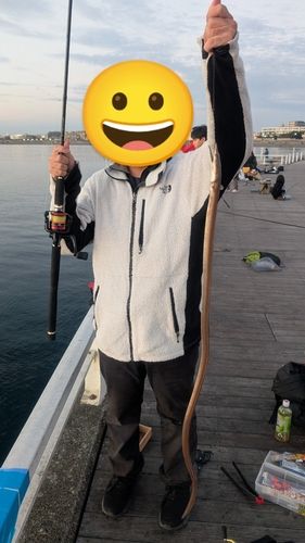 ダイナンウミヘビの釣果