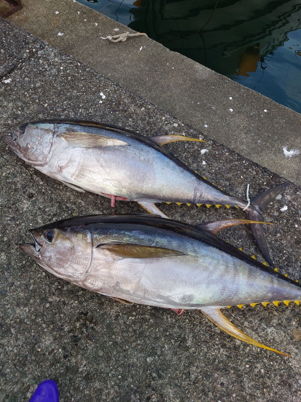 HIDECKEYさんの釣果 1枚目の画像