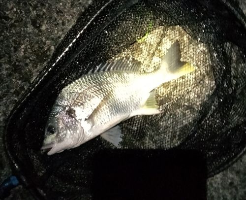 用宗広野海岸公園