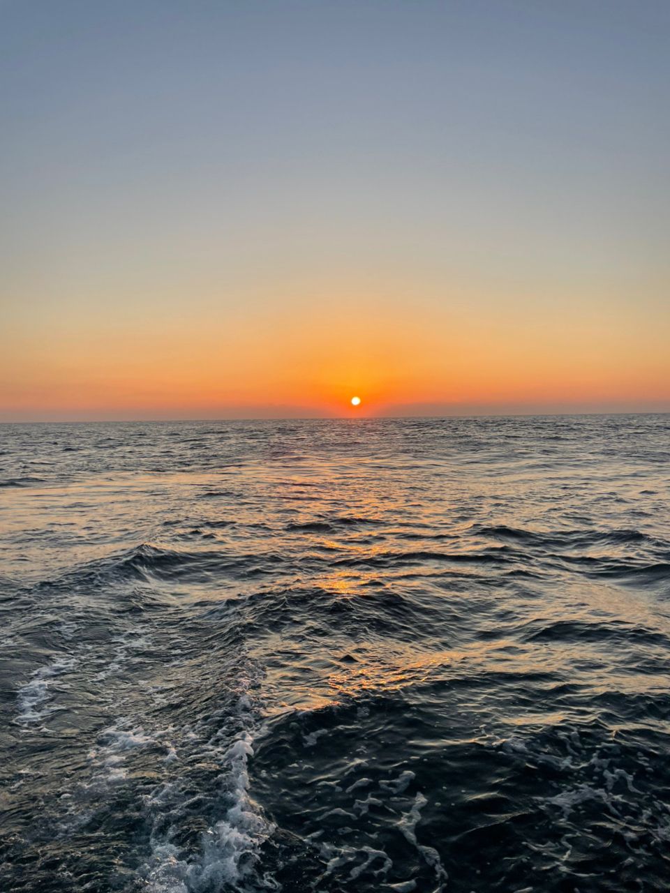 kouhe0110さんの釣果 3枚目の画像