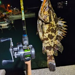 タケノコメバル