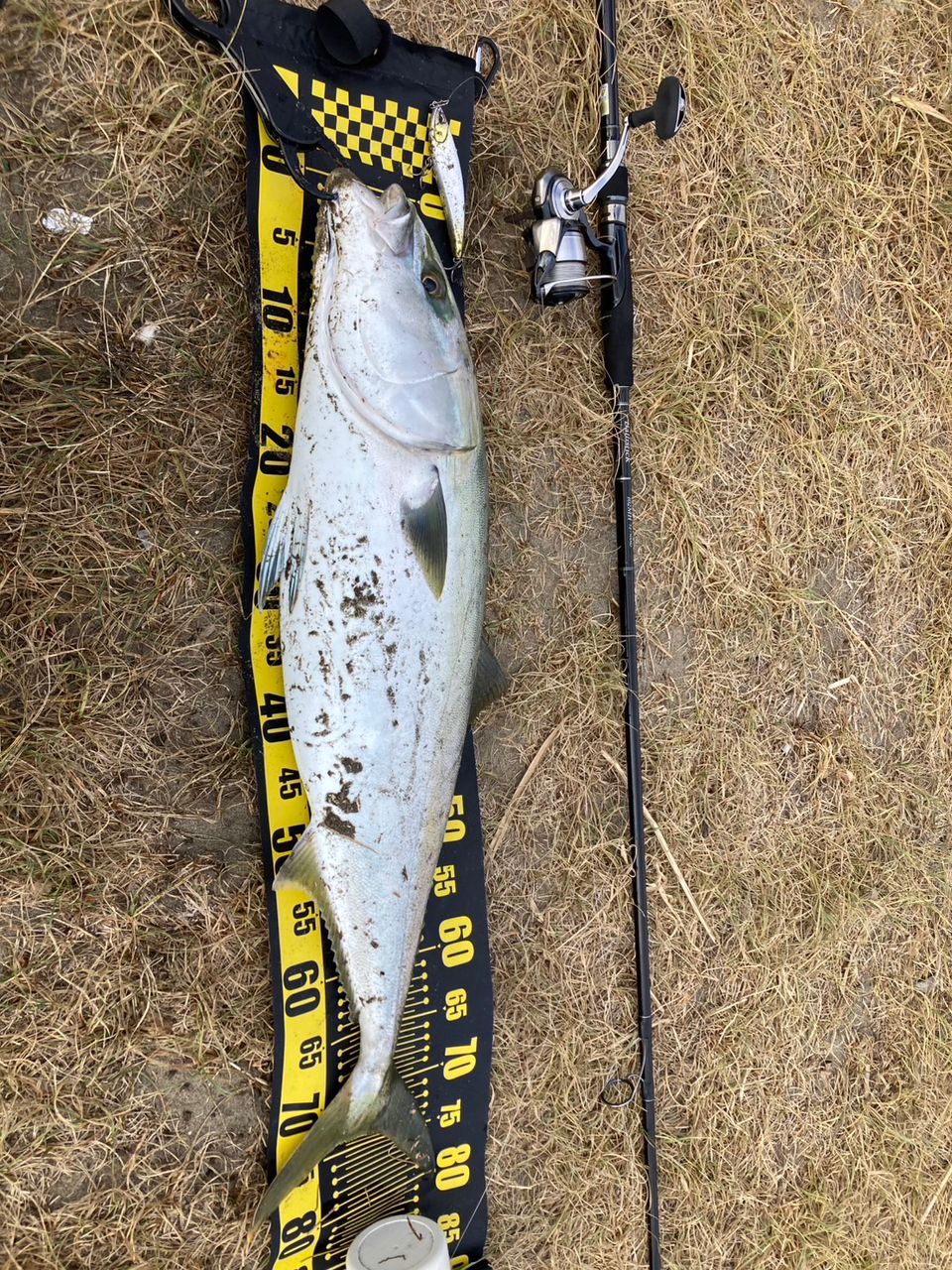 YAMAGA Blanks バリスティック TZ ナノ 102MHの最安値・インプレ・釣果