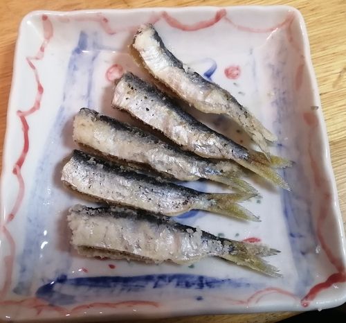 若洲海浜公園海釣り施設