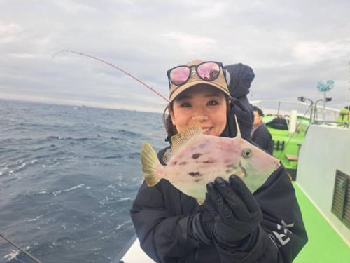 カワハギの釣果