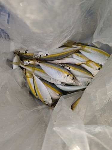 西原・与那原マリンパーク