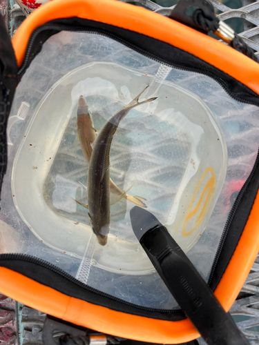 本牧海づり施設