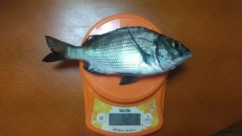 宇品波止場公園