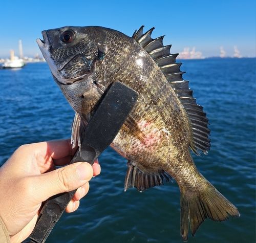 磯子海づり施設