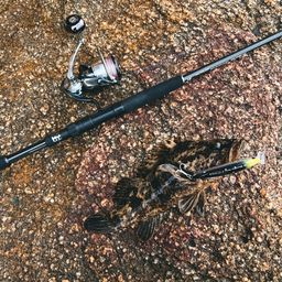 タケノコメバル