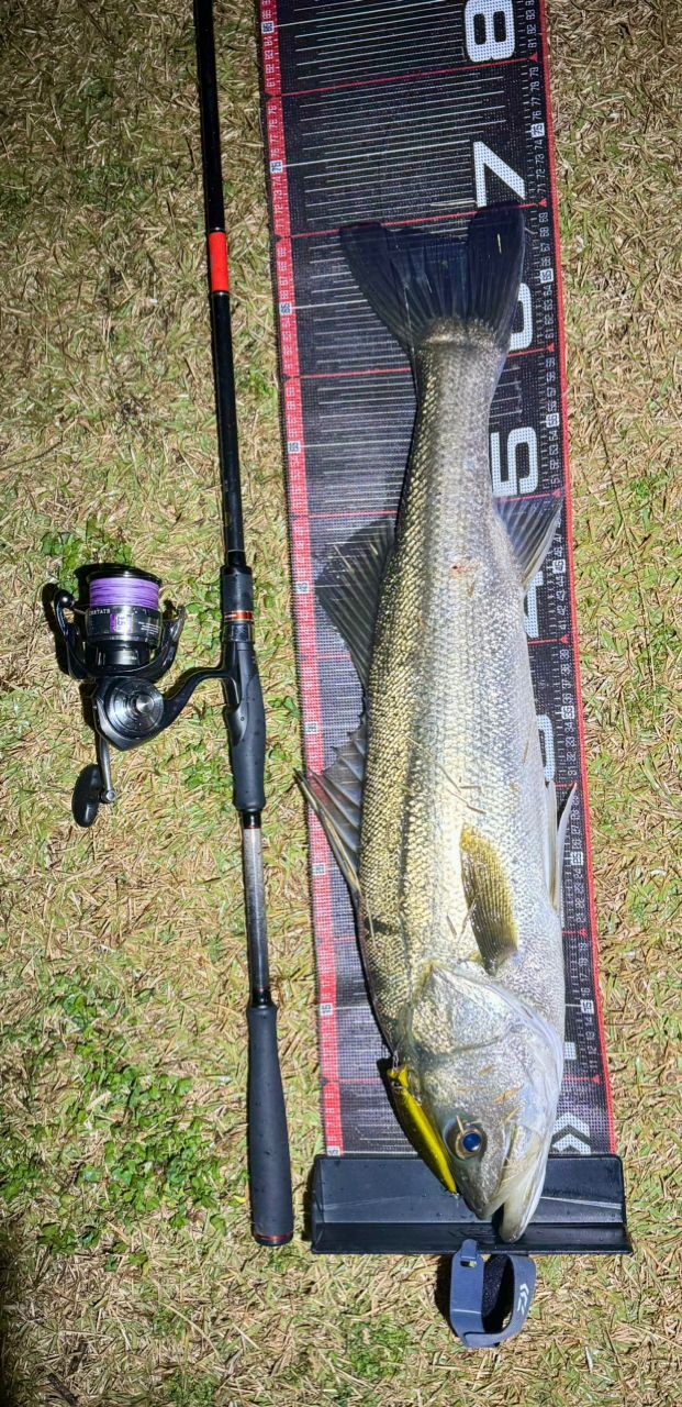 tack06 さんの 2025年11月25日のシーバスの釣り・釣果情報(福岡県