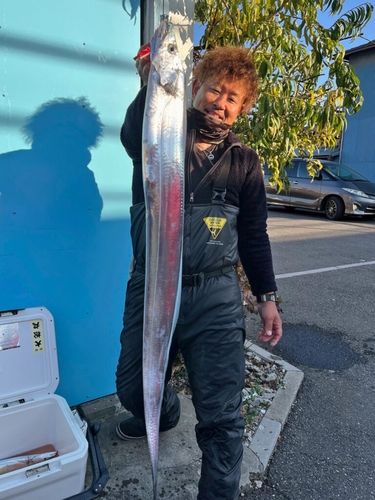 タチウオの釣果