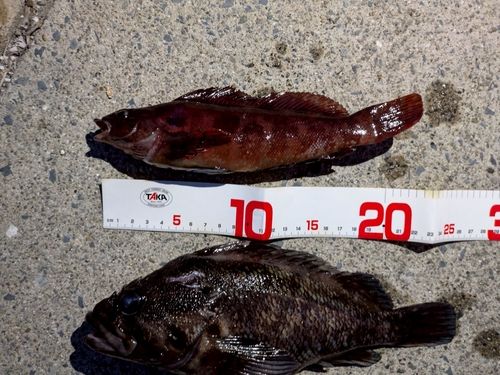 室浜漁港（宮戸島）