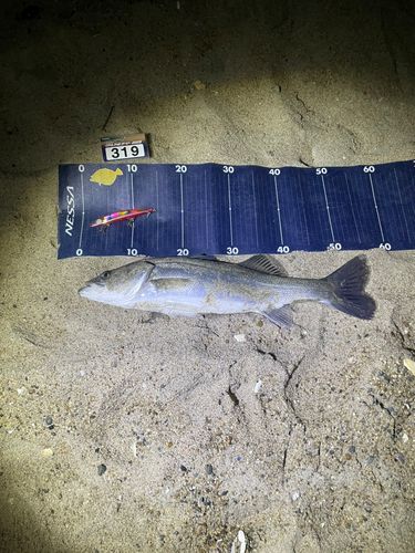 新舞子海岸（いわき）