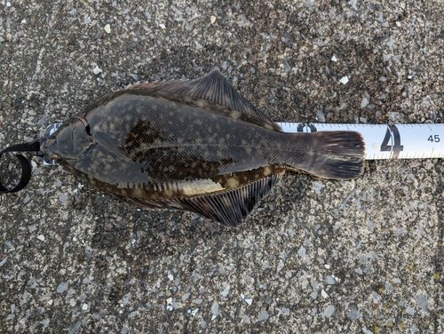 苫小牧東港一本防波堤