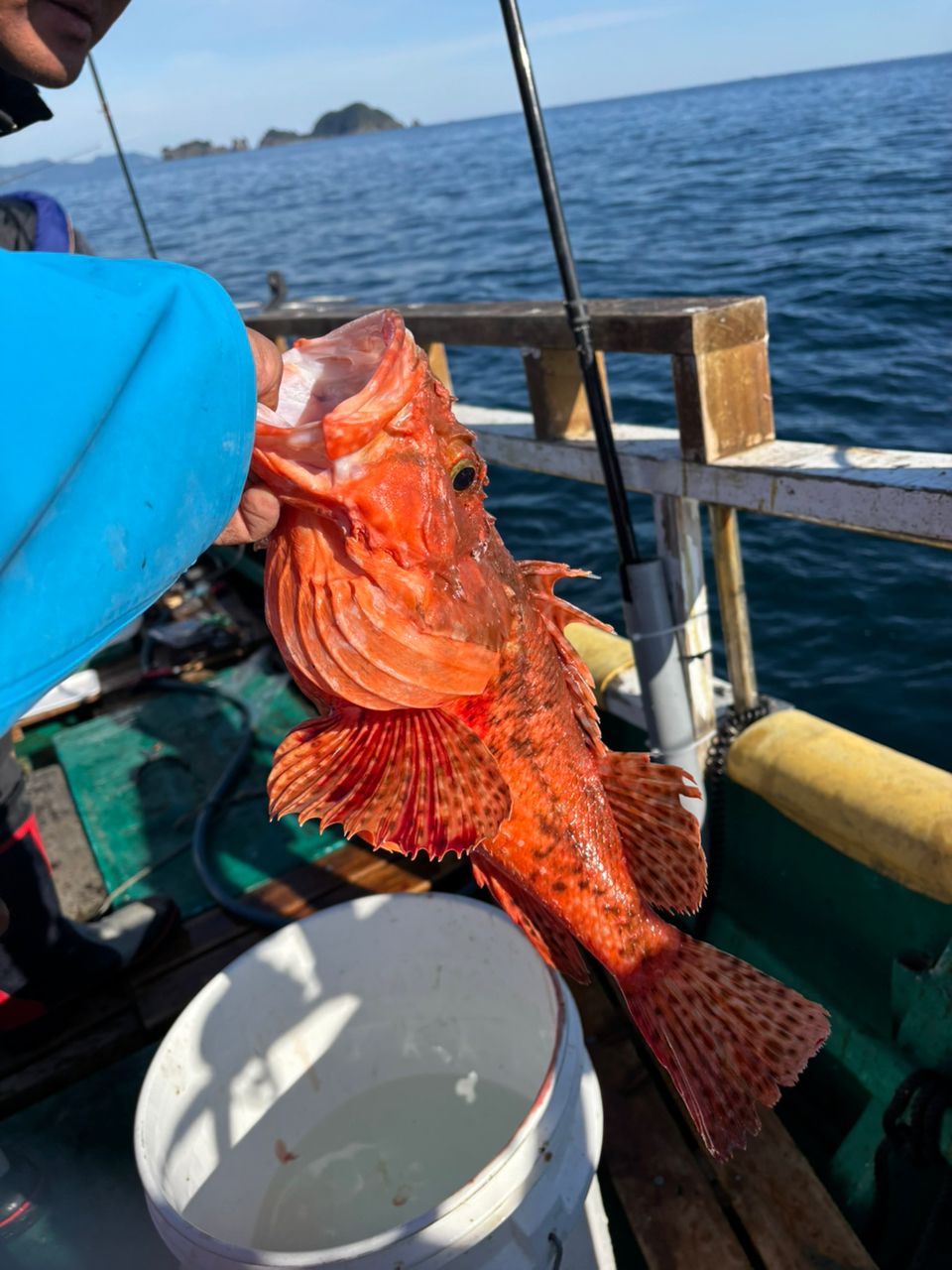 detakaさんの釣果 1枚目の画像