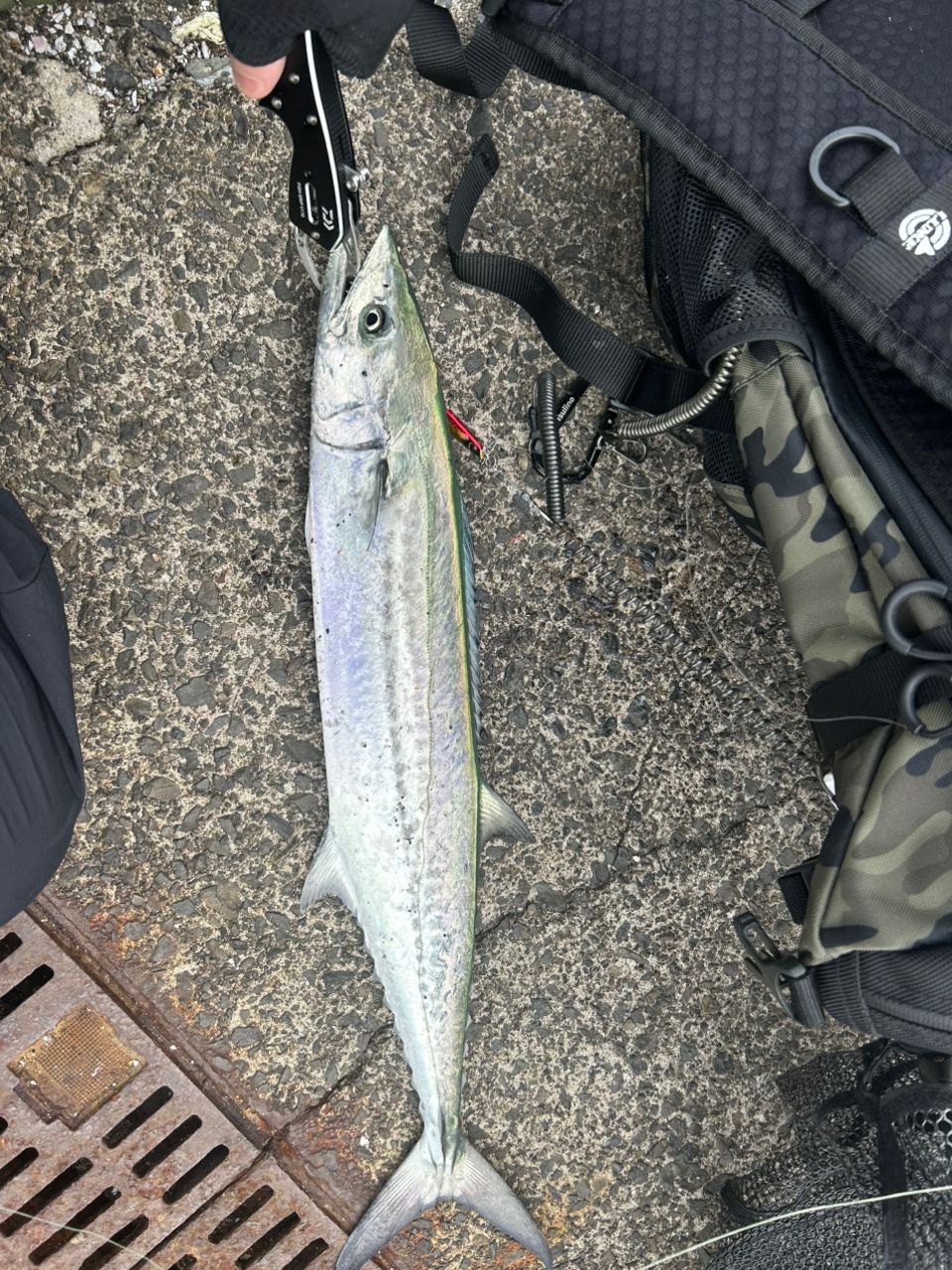 SHIMANO 19コルトスナイパー SS S100MHの最安値・インプレ・釣果