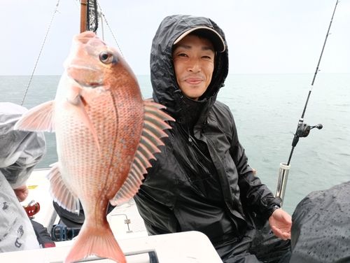 マダイの釣果