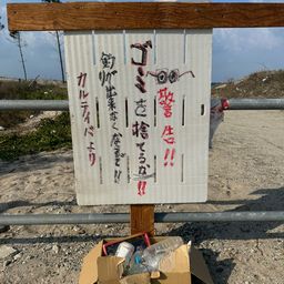 セイゴ（ヒラスズキ）