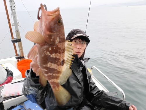 キジハタの釣果