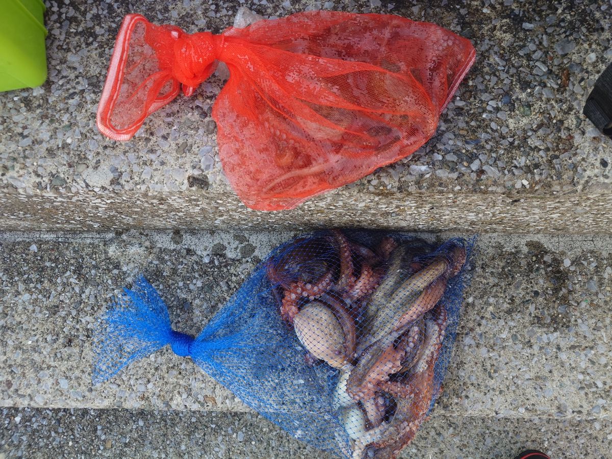 変態様さんの釣果 3枚目の画像