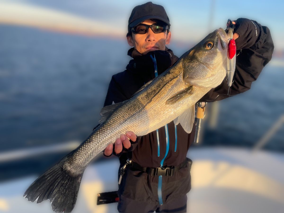 わくわく屋さんの釣果 3枚目の画像