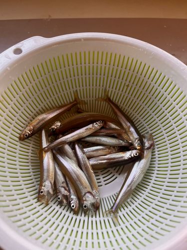 野尻湖（長野）