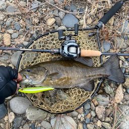 スモールマウスバス