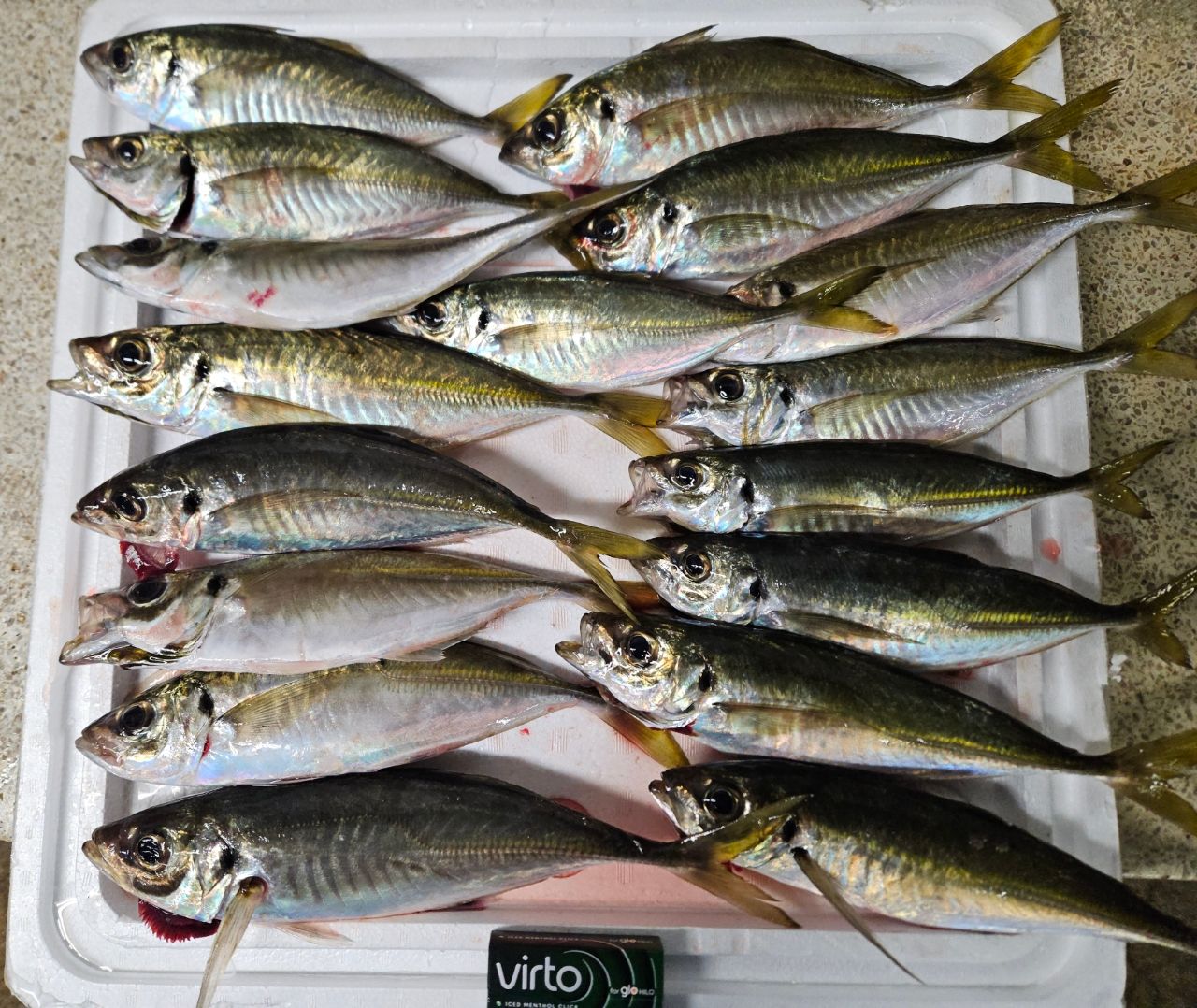 DAIWA 16エメラルダス ストイスト AGS 90ULL-Sの最安値・インプレ