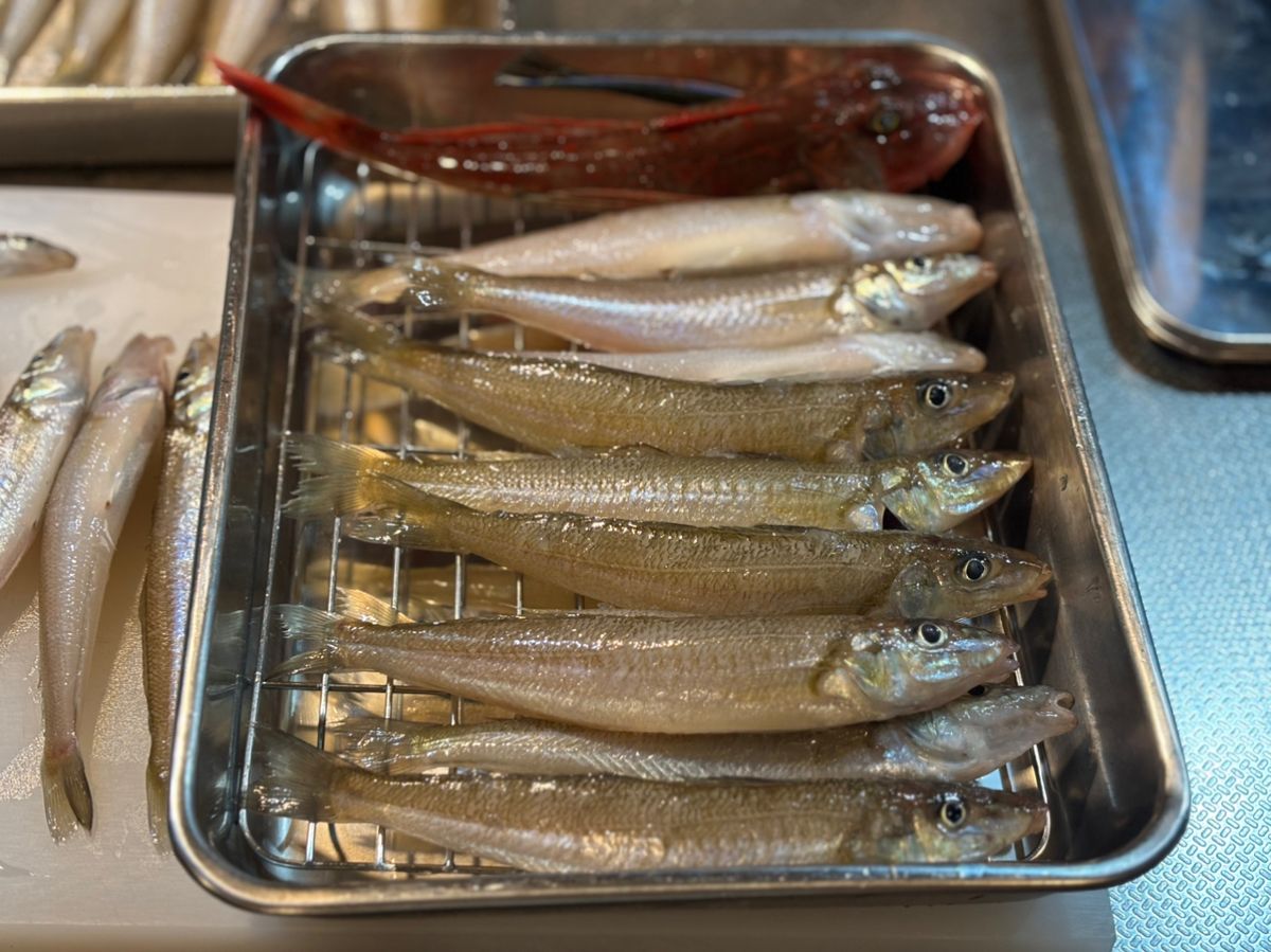 もふもふあきさんの釣果 2枚目の画像