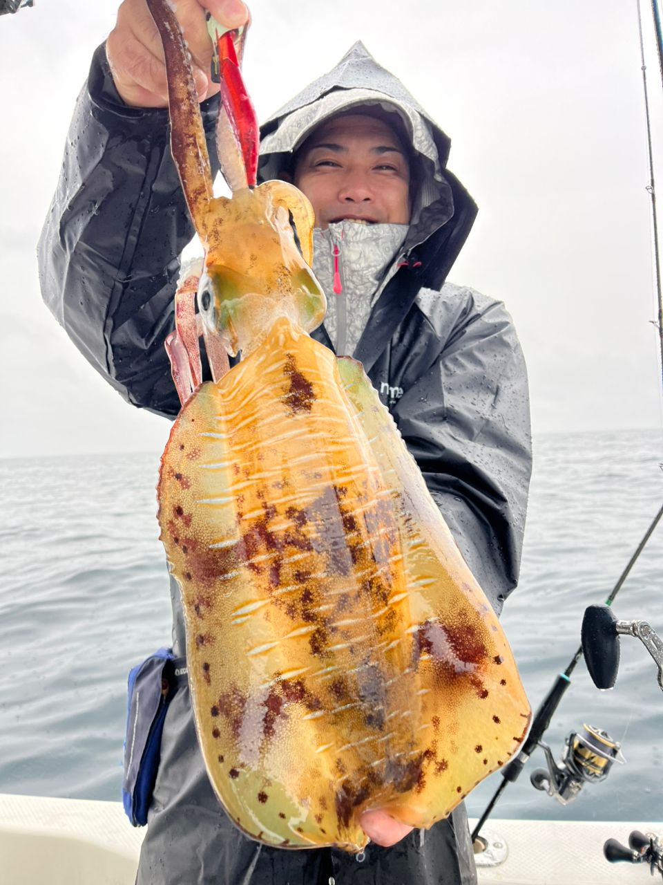 遊漁船 足立丸さんの釣果 1枚目の画像