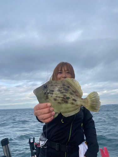 カワハギの釣果