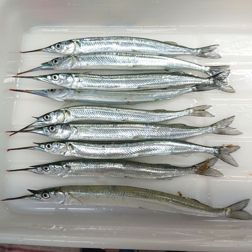 ディズニーリゾート付近