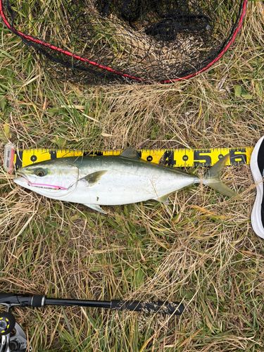 三陸海岸（宮城）