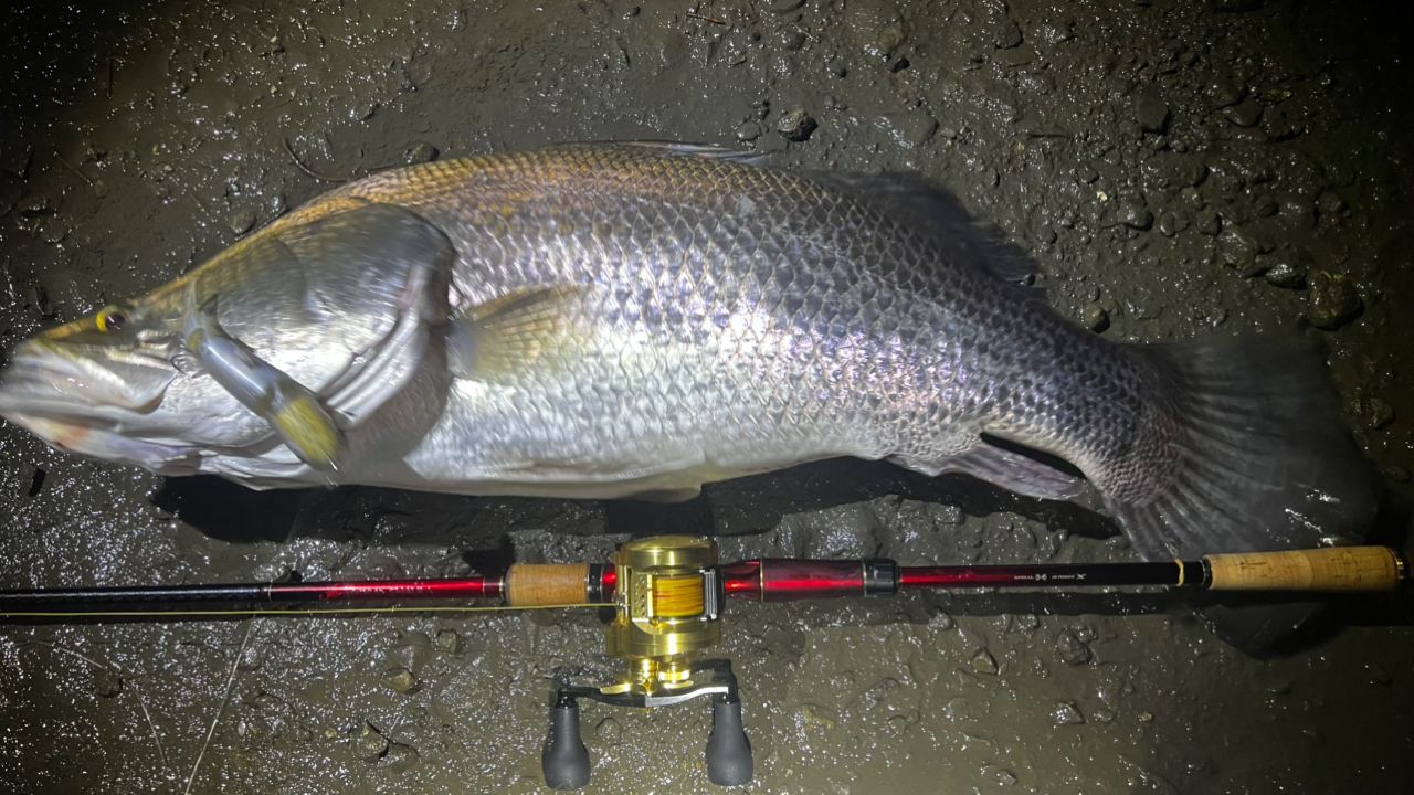 SHIMANO 18ワールドシャウラ 1785RS-2の最安値・インプレ・釣果 | 本音