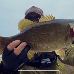 スモールマウスバス