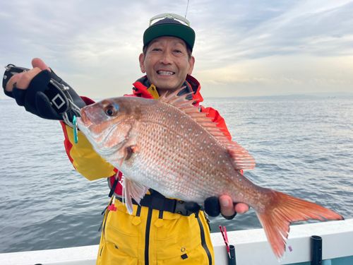 マダイの釣果