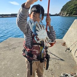 タイワンガザミ