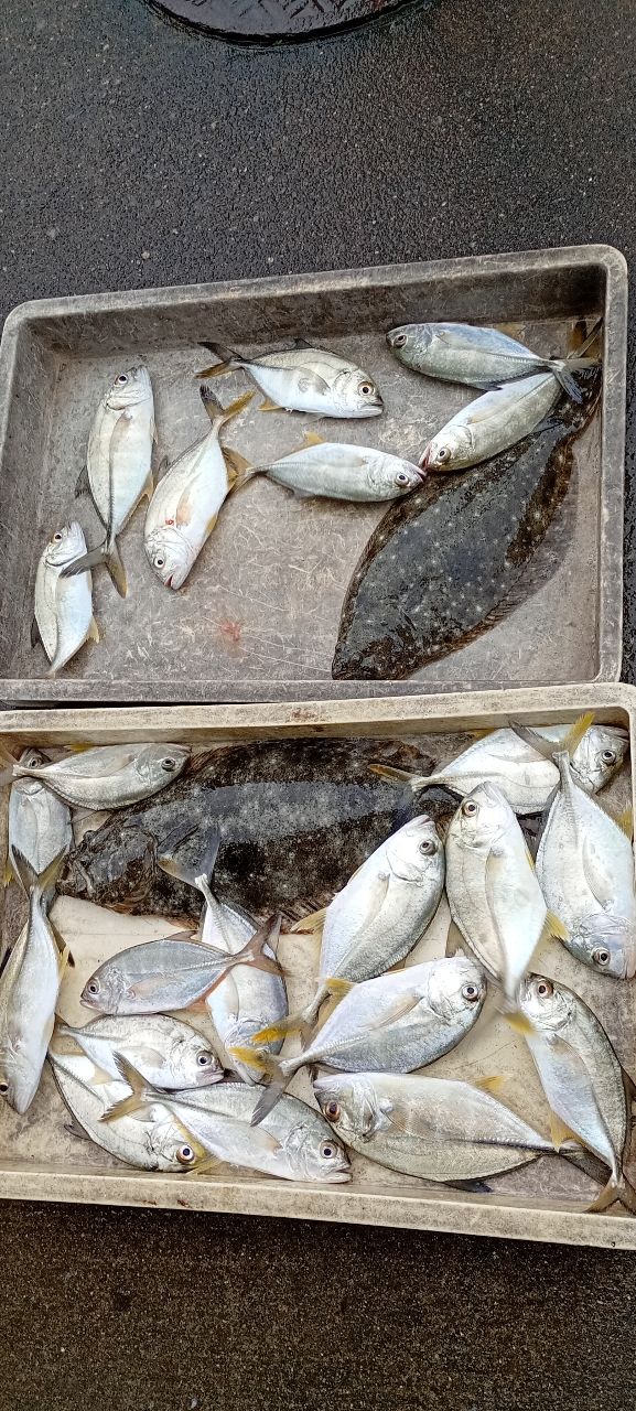 dragonkazu1967さんの釣果 1枚目の画像