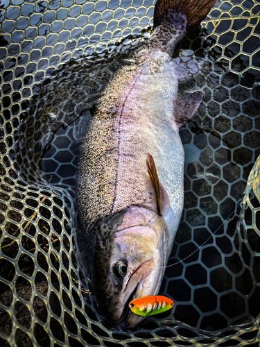 五頭フィッシングパーク